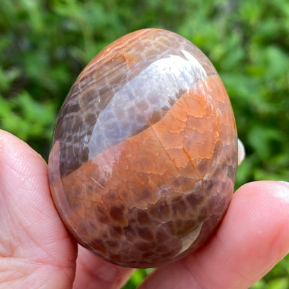 Snakeskin Agate Egg