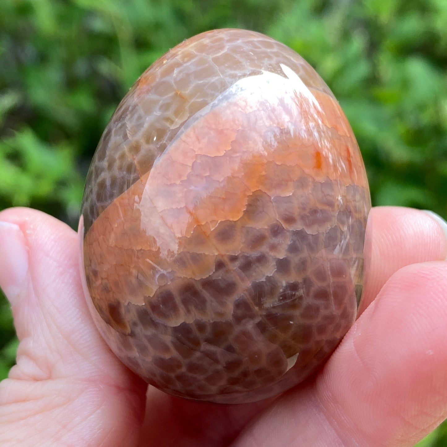Snakeskin Agate Egg