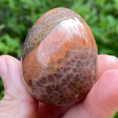 Snakeskin Agate Egg