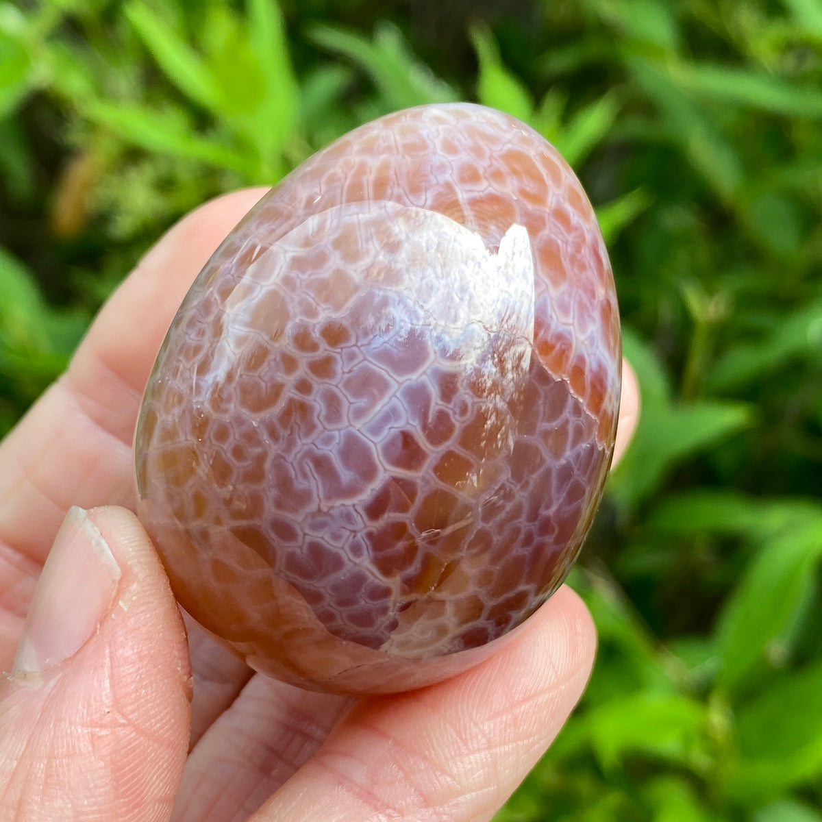 Snakeskin Agate Egg