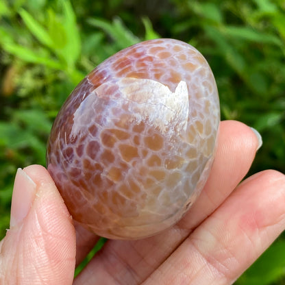Snakeskin Agate Egg