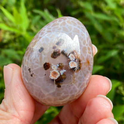Snakeskin Agate Egg
