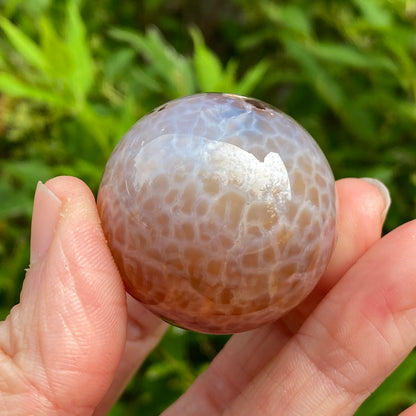 Snakeskin Agate Egg
