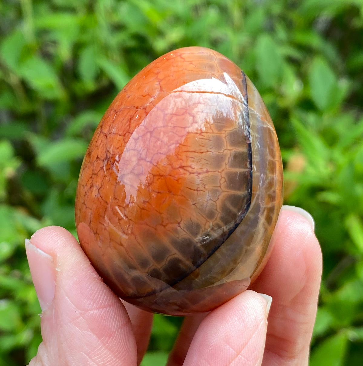 Snakeskin Agate Egg