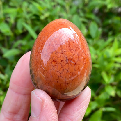 Snakeskin Agate Egg