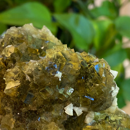 Yellow Fluorite, Spain