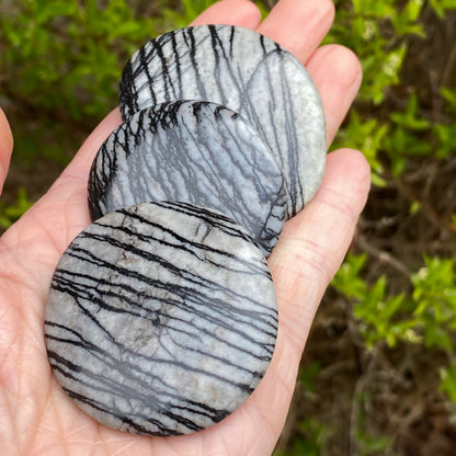 Spiderweb Jasper Worry Stone