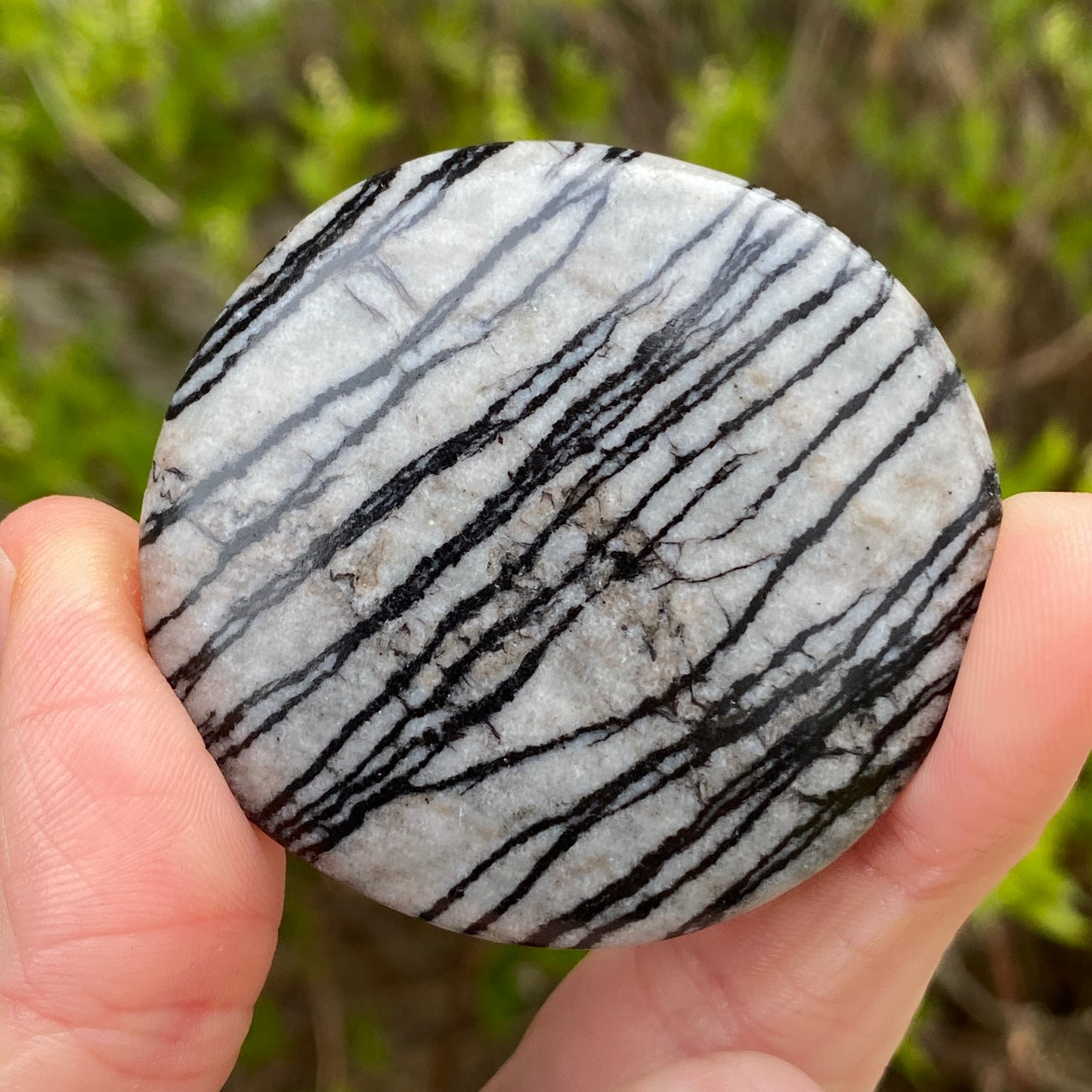 Spiderweb Jasper Worry Stone