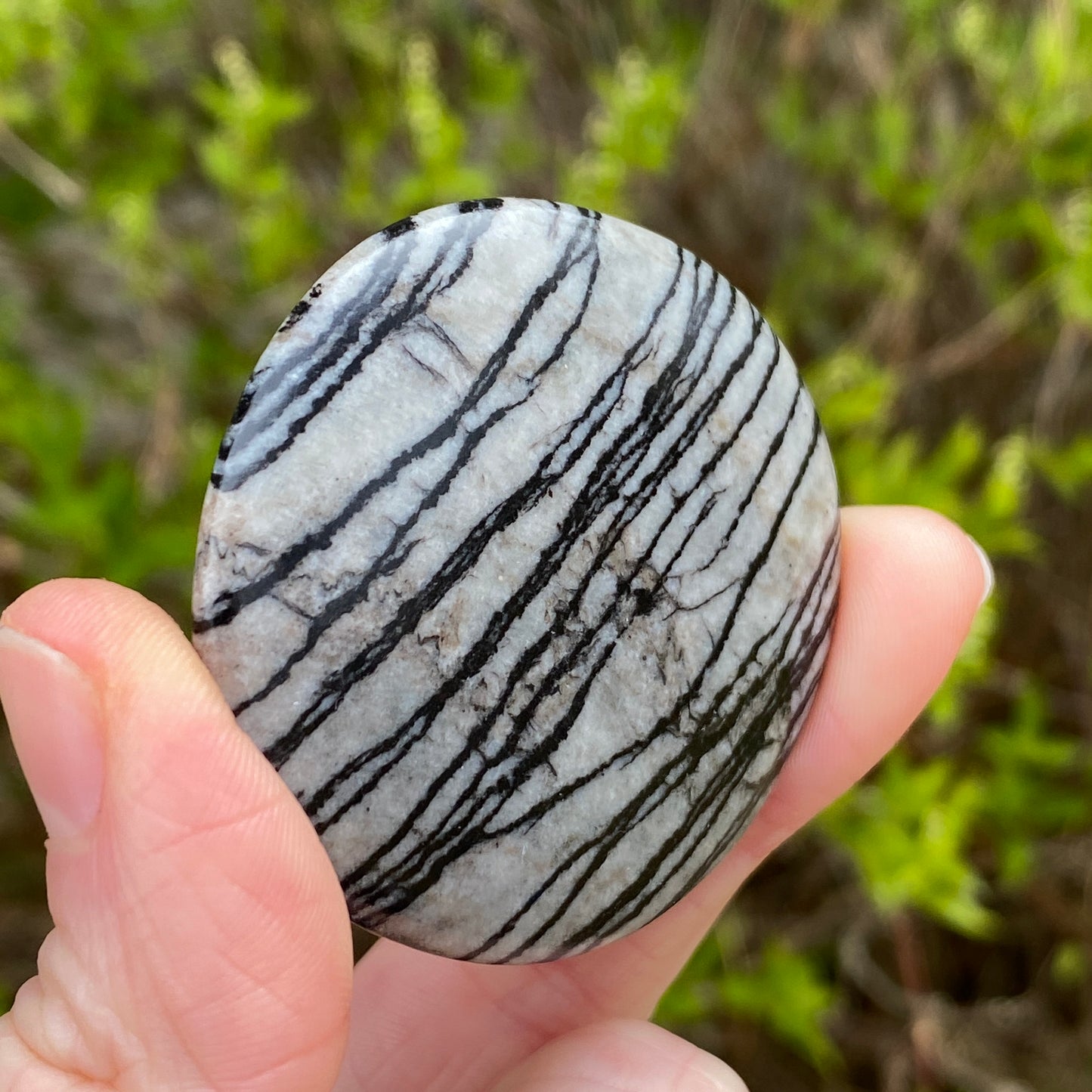 Spiderweb Jasper Worry Stone