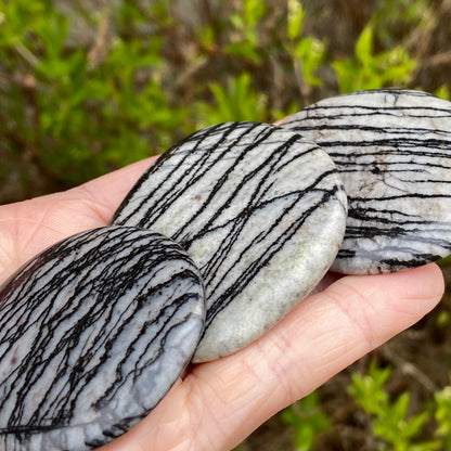 Spiderweb Jasper Worry Stone