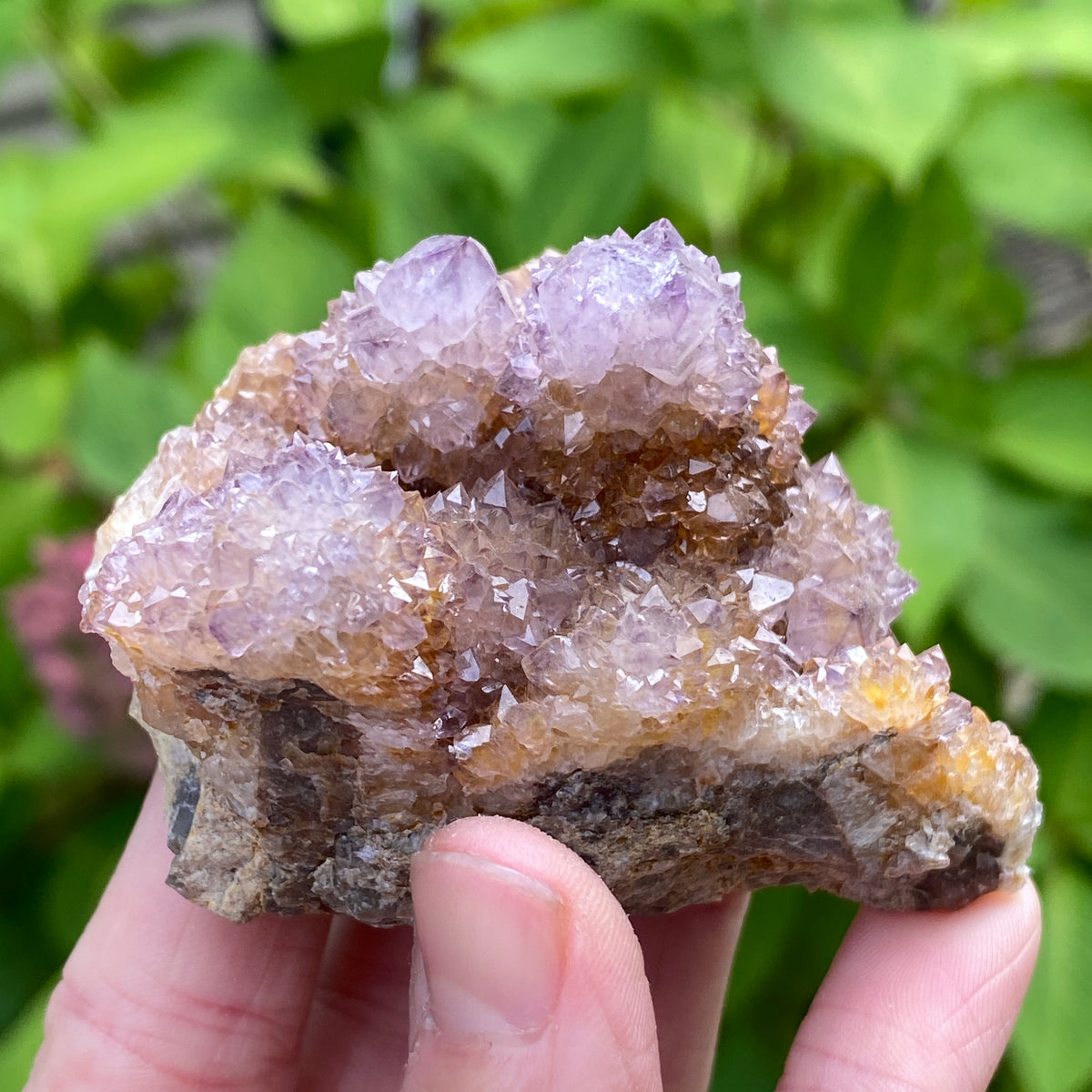Spirit Amethyst