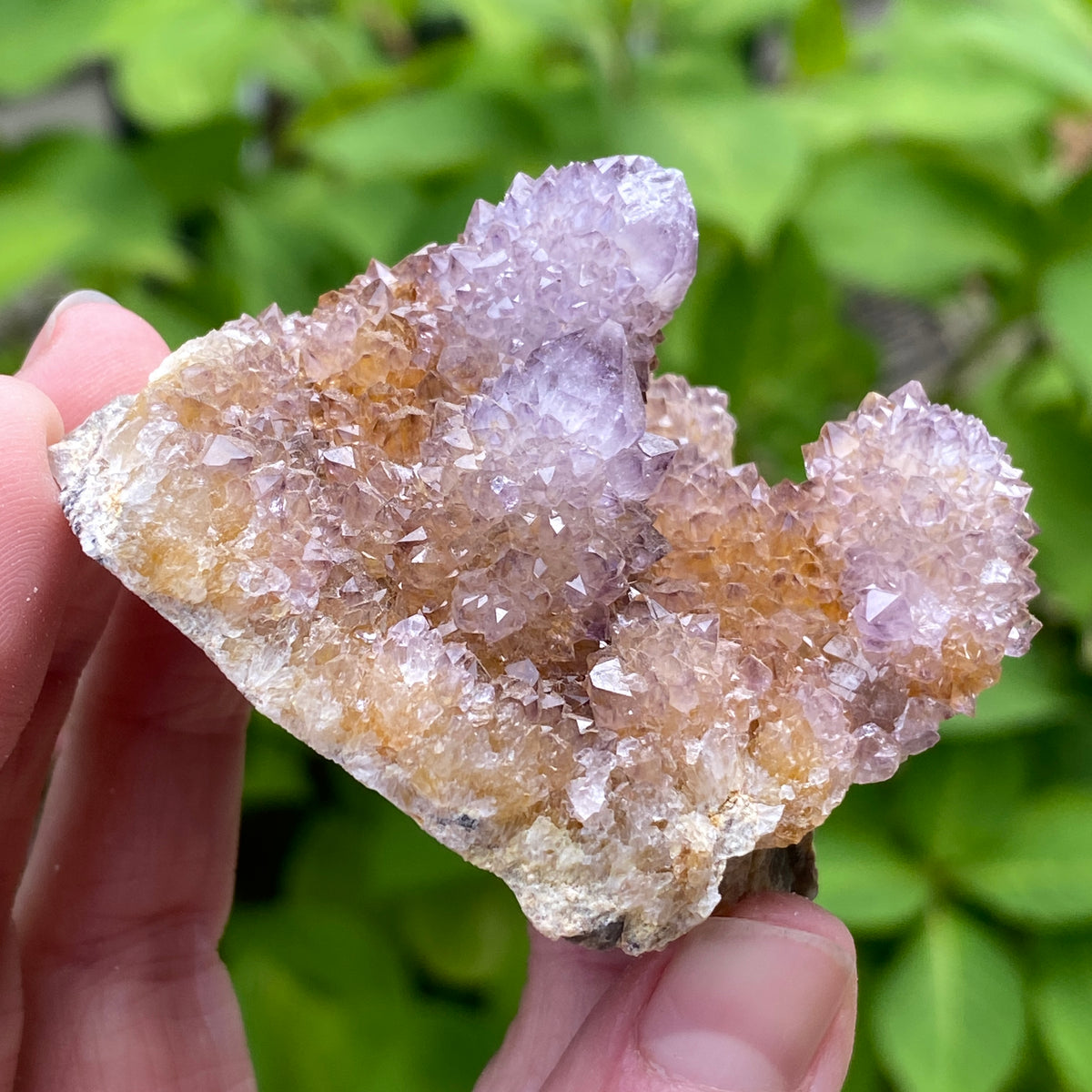 Spirit Amethyst