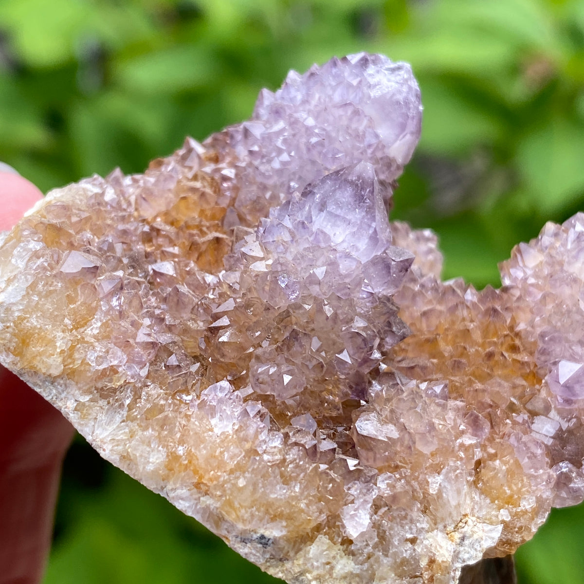 Spirit Amethyst
