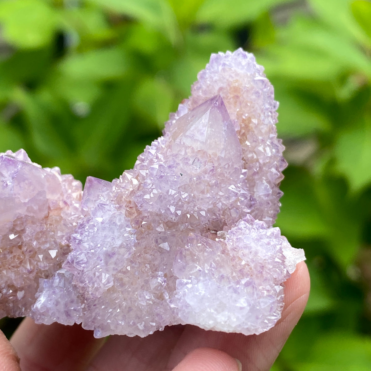 Spirit Amethyst