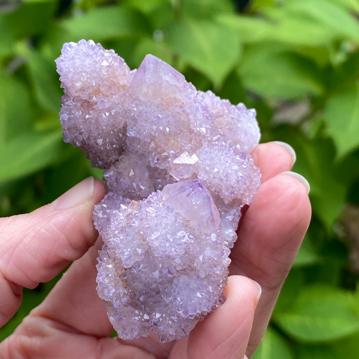 Spirit Amethyst