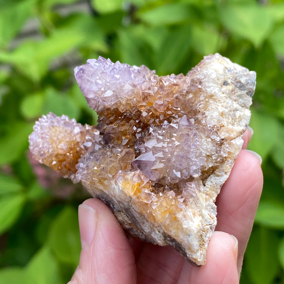 Spirit Amethyst