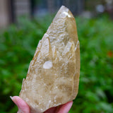New Deposit! Huge Stellar Beam Calcite Specimen with Phantom from Sweetwater Mine, King's Crown