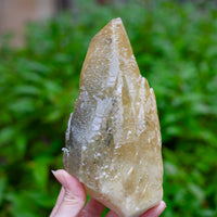 New Deposit! Huge Stellar Beam Calcite Specimen with Phantom from Sweetwater Mine, King's Crown