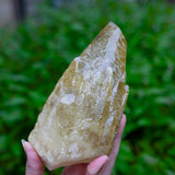 New Deposit! Huge Stellar Beam Calcite Specimen with Phantom from Sweetwater Mine, King's Crown