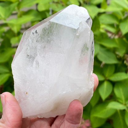 Tabby Quartz