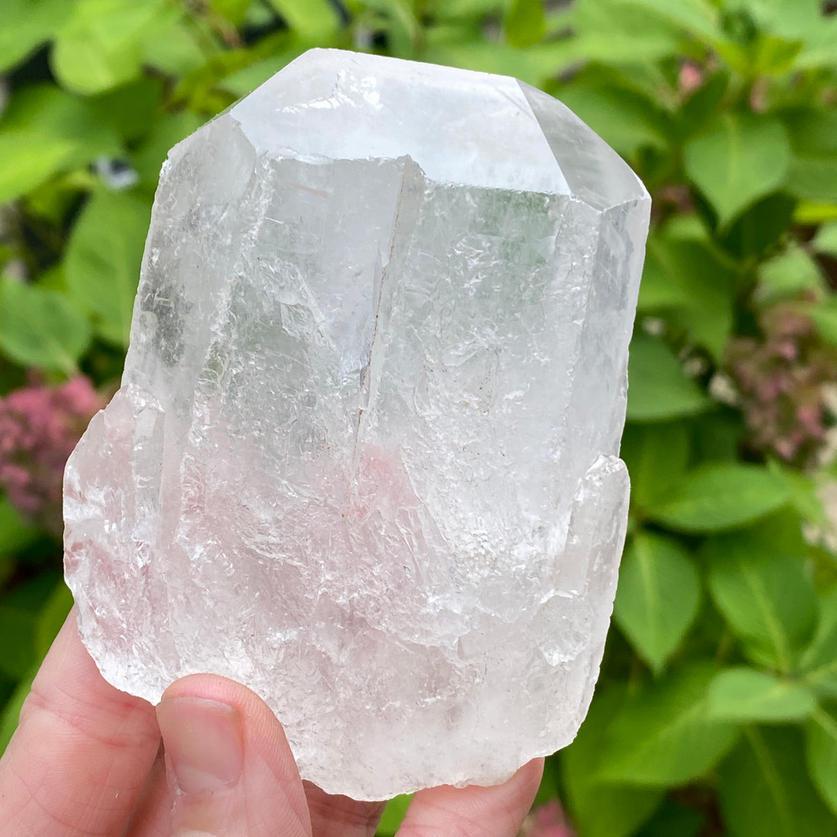 Tabby Quartz