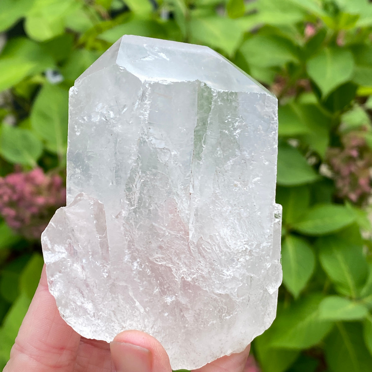 Tabby Quartz