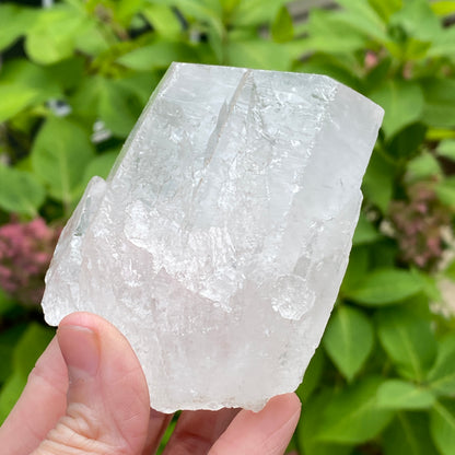 Tabby Quartz