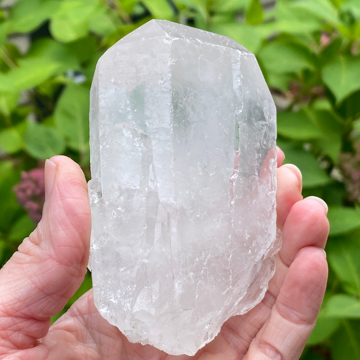 Tabby Quartz