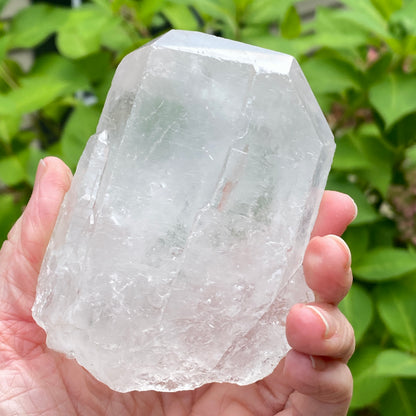 Tabby Quartz