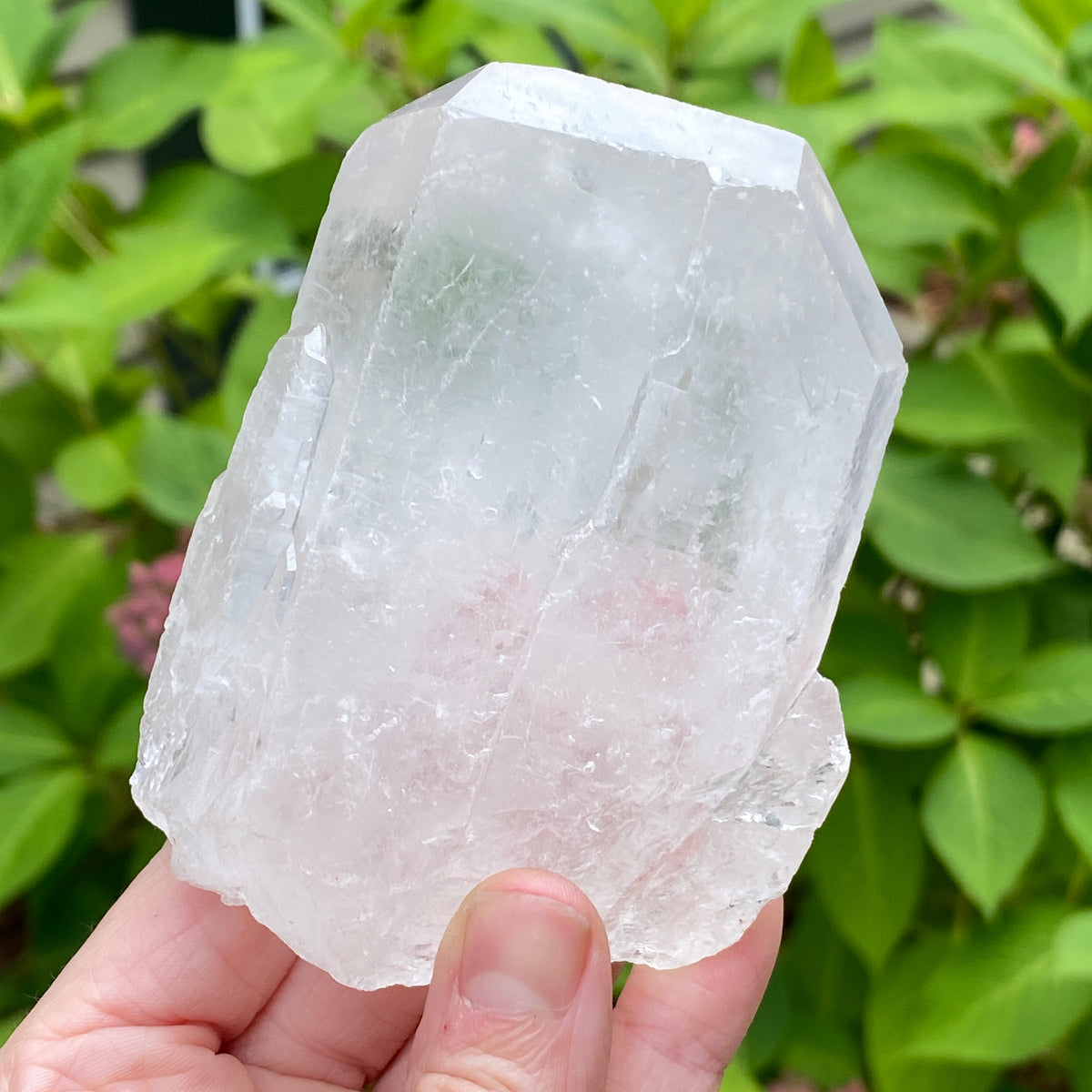 Tabby Quartz