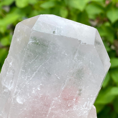 Tabby Quartz
