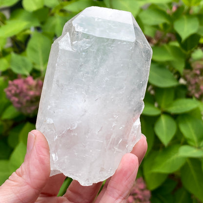 Tabby Quartz