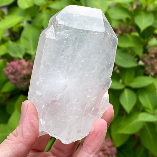 Tabby Quartz