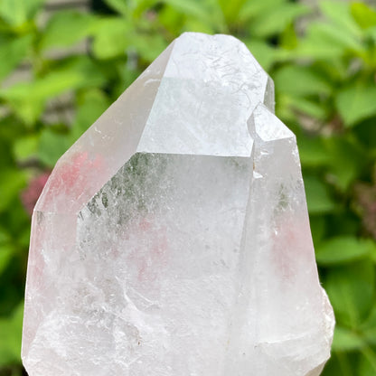 Tabby Quartz