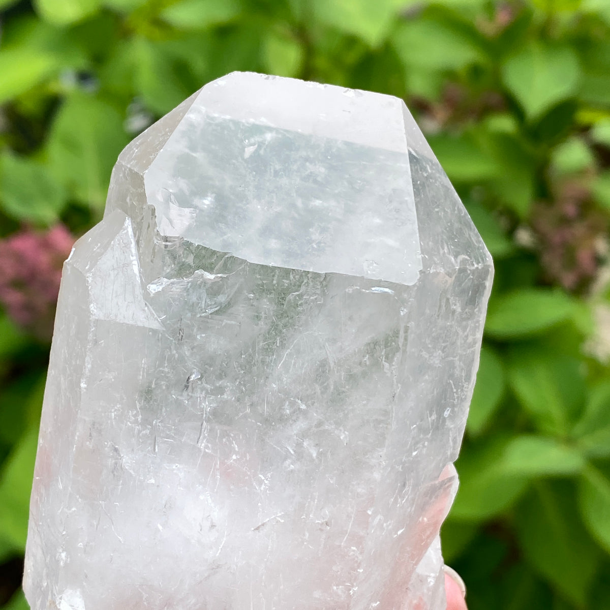 Tabby Quartz