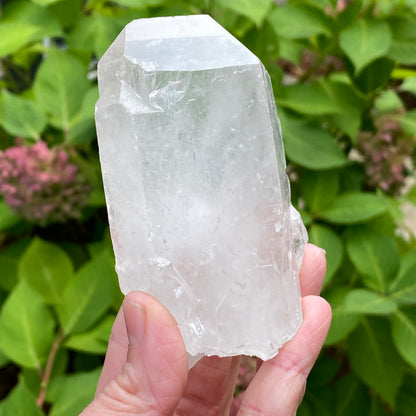 Tabby Quartz