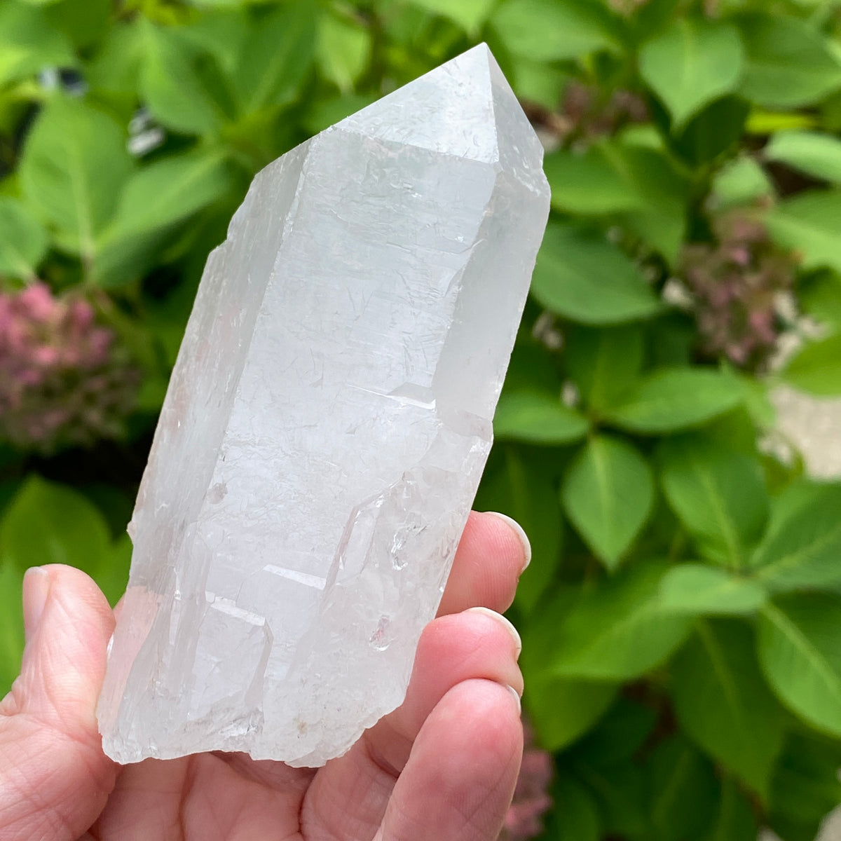 Tabby Quartz