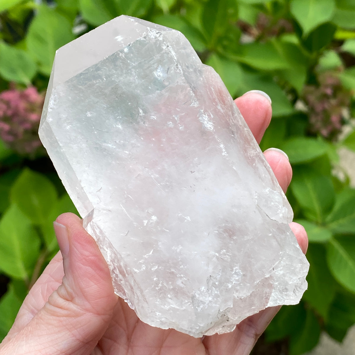 Tabby Quartz