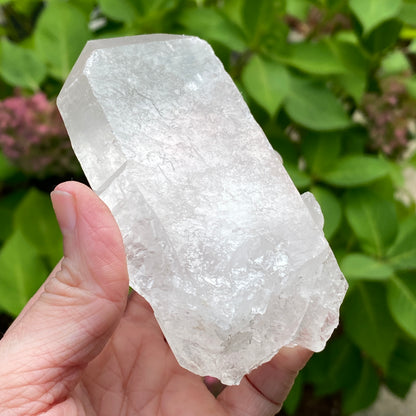 Tabby Quartz