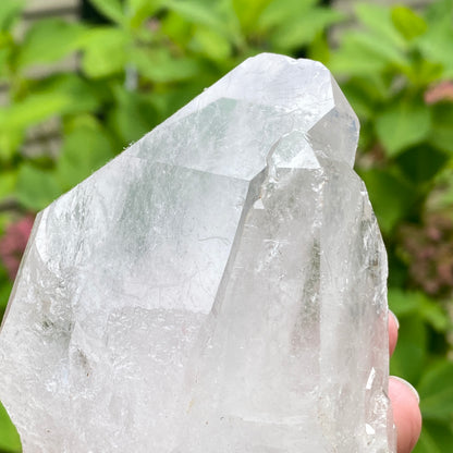 Tabby Quartz