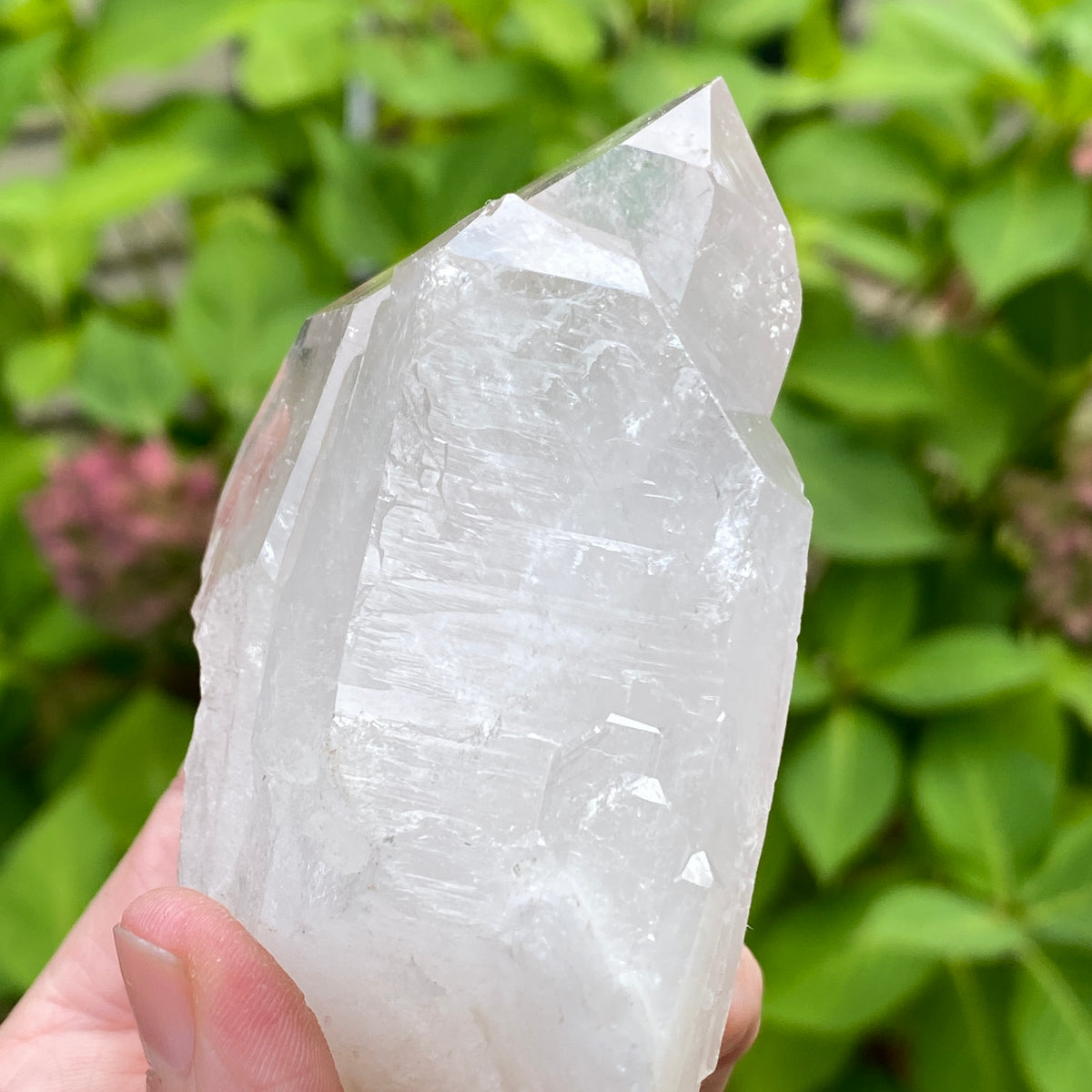 Tabby Quartz