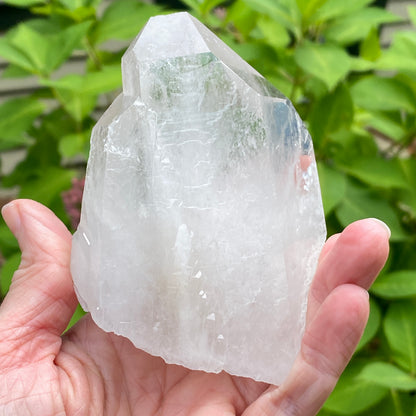 Tabby Quartz