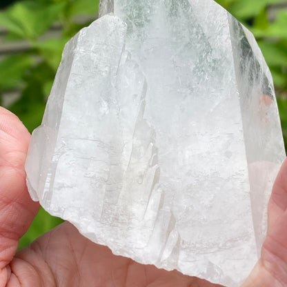 Tabby Quartz