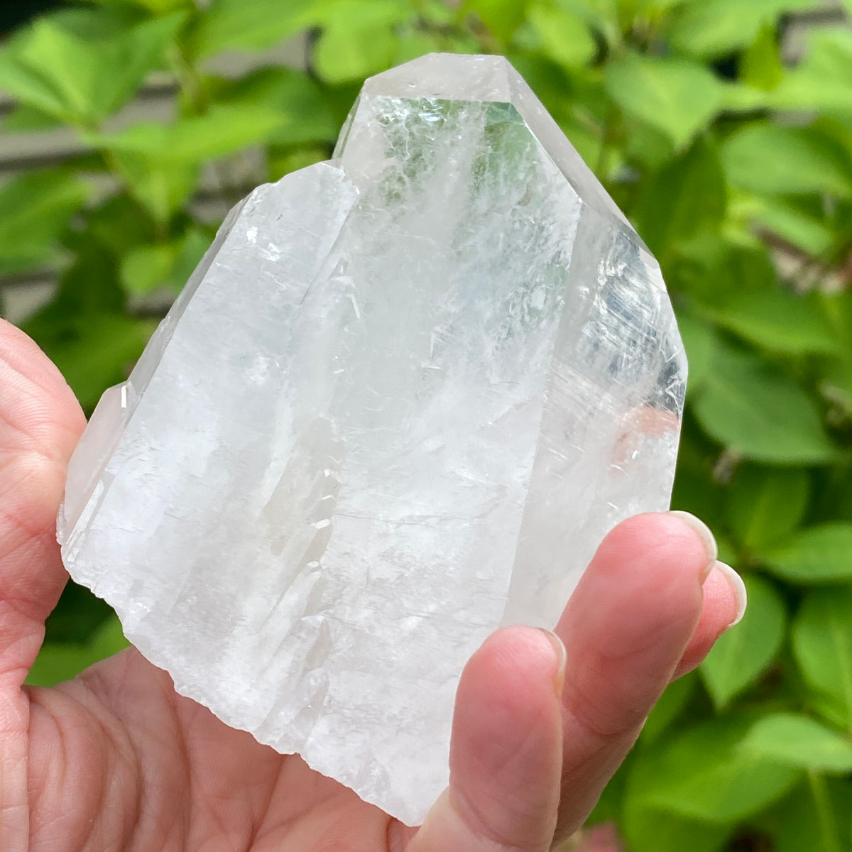 Tabby Quartz
