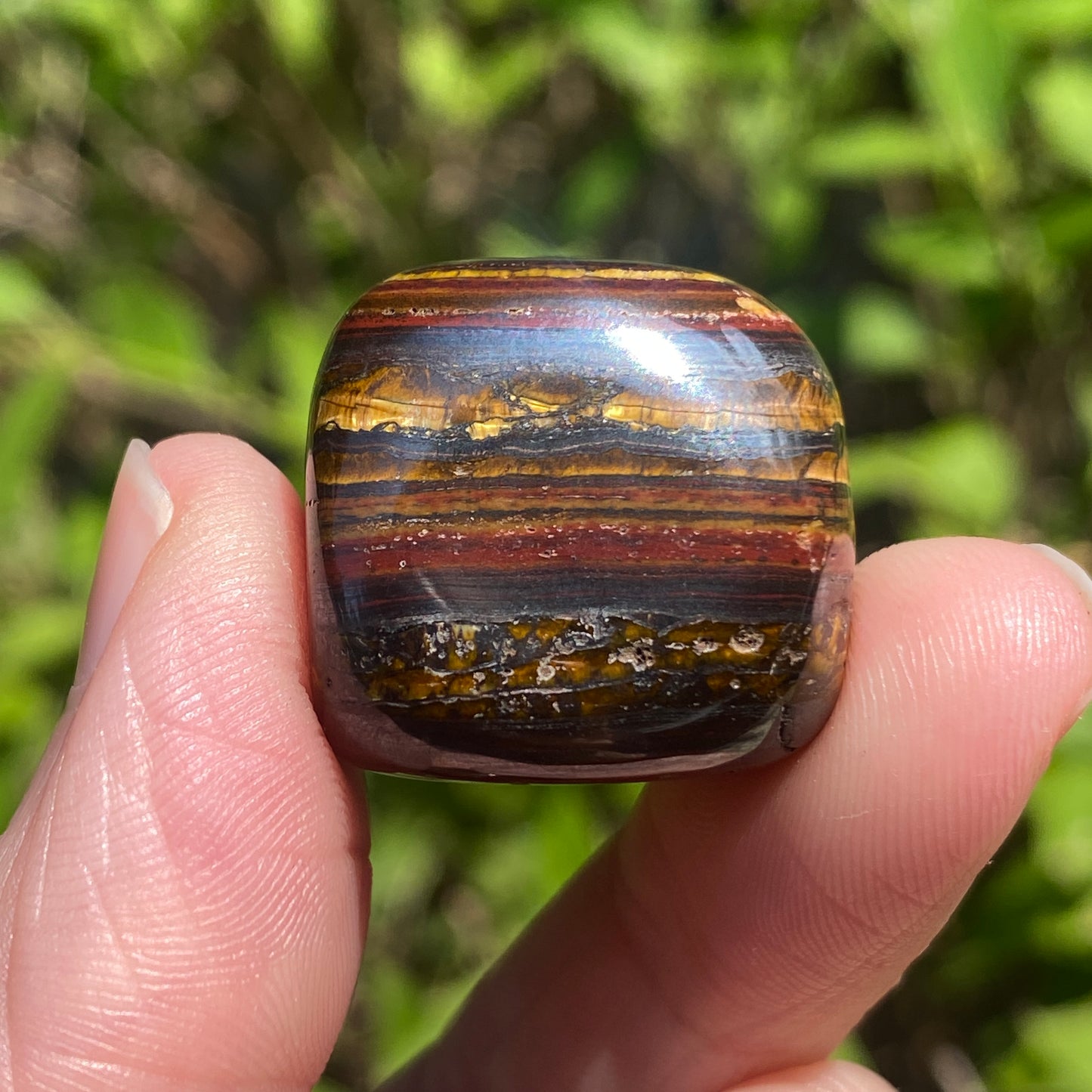 Tiger Iron Stone