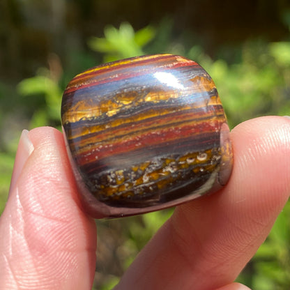 Tiger Iron Stone