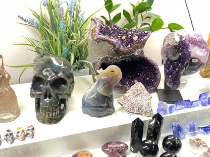 Tucson Live Sale February 11th 2026