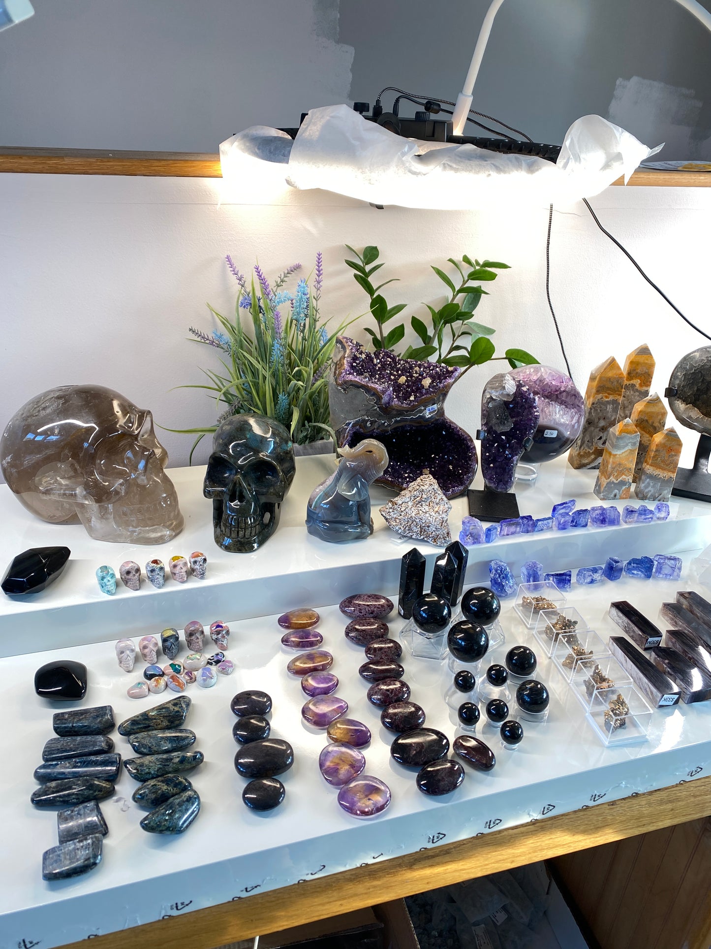 Tucson Live Sale February 11th 2026