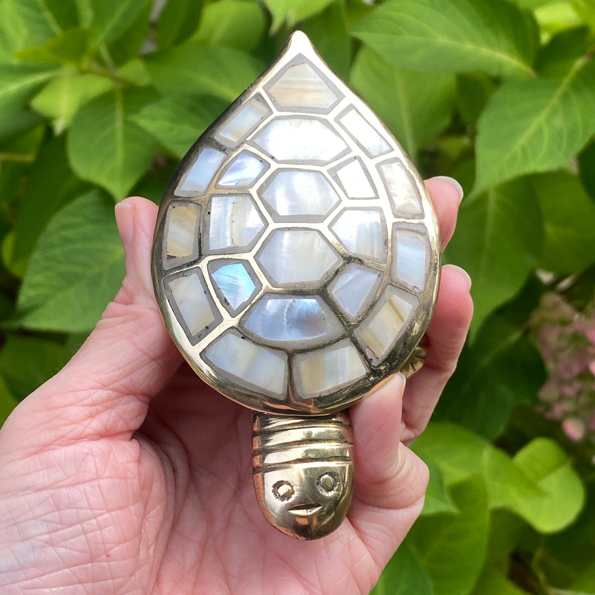 Turtle Box, Mother of Pearl, Fair Trade