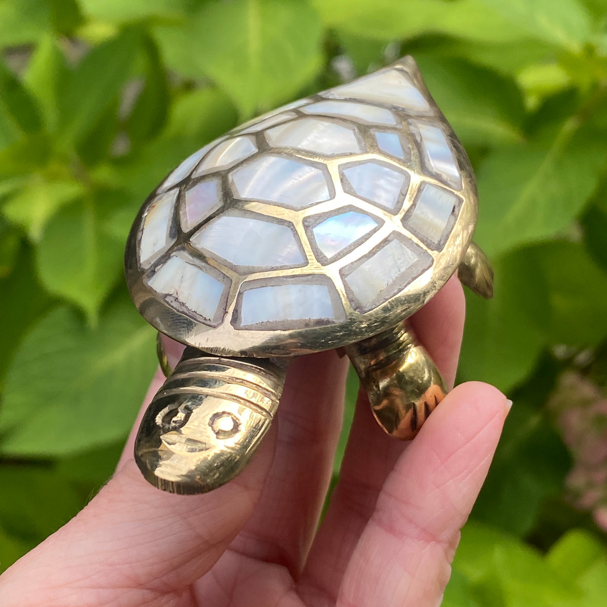 Turtle Box, Mother of Pearl, Fair Trade